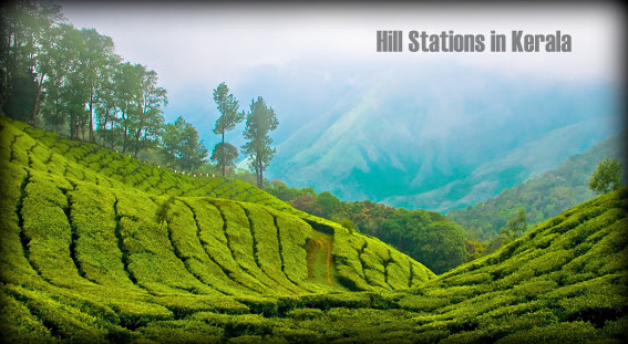 Hill Stations in Kerala, Kerala Holiday Package